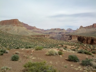 IMG_20130315_135913.jpg